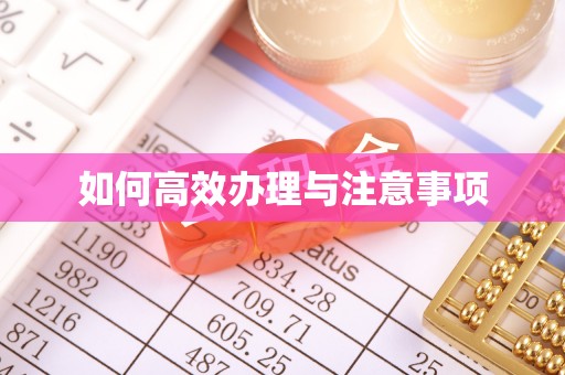 保山如何高效办理与注意事项
