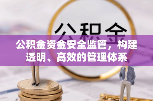 保山公积金资金安全监管，构建透明、高效的管理体系