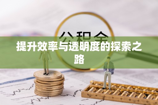 保山提升效率与透明度的探索之路