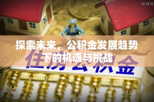 保山探索未来，公积金发展趋势下的机遇与挑战
