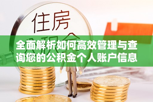 保山全面解析如何高效管理与查询您的公积金个人账户信息