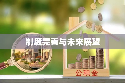 保山制度完善与未来展望