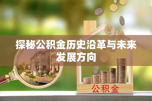 保山探秘公积金历史沿革与未来发展方向