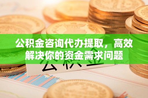 保山公积金咨询代办提取，高效解决你的资金需求问题