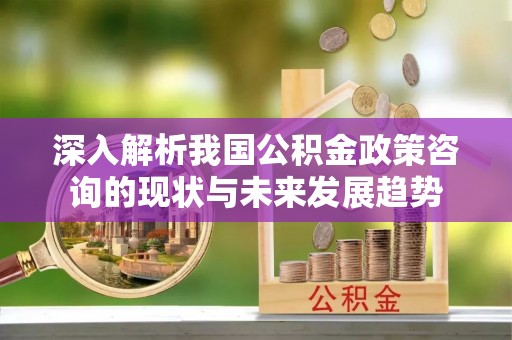 保山深入解析我国公积金政策咨询的现状与未来发展趋势