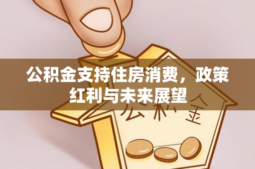 保山公积金支持住房消费，政策红利与未来展望