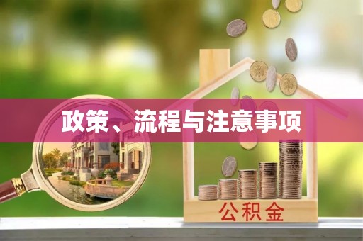 保山政策、流程与注意事项
