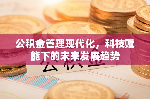 保山公积金管理现代化，科技赋能下的未来发展趋势