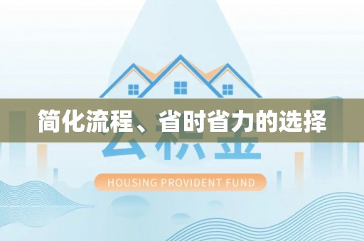 保山简化流程、省时省力的选择