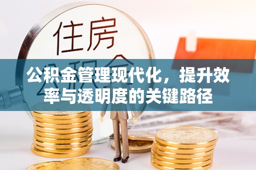 保山公积金管理现代化，提升效率与透明度的关键路径