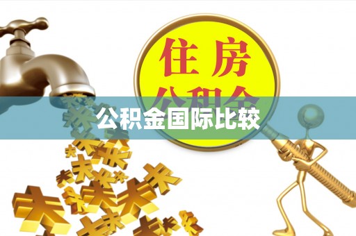 保山公积金国际比较