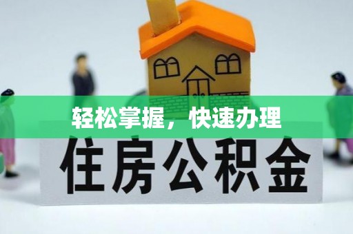 保山轻松掌握，快速办理