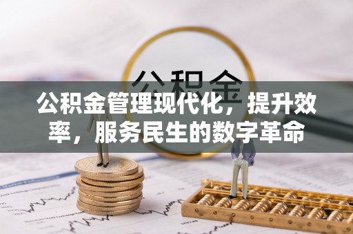保山公积金管理现代化，提升效率，服务民生的数字革命