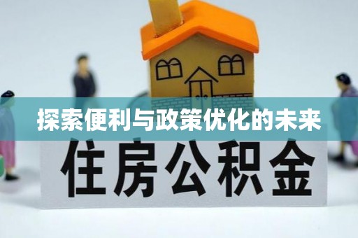 保山探索便利与政策优化的未来