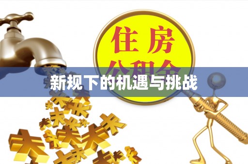 保山新规下的机遇与挑战