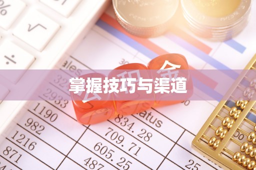 保山掌握技巧与渠道