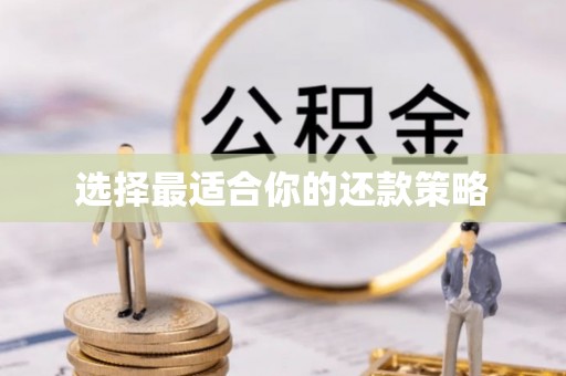 保山选择最适合你的还款策略