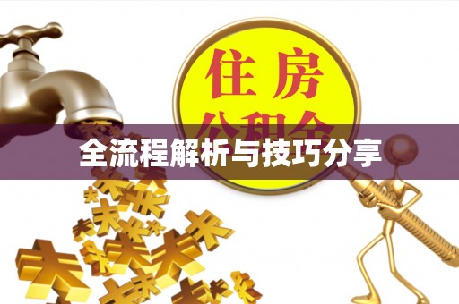 保山全流程解析与技巧分享