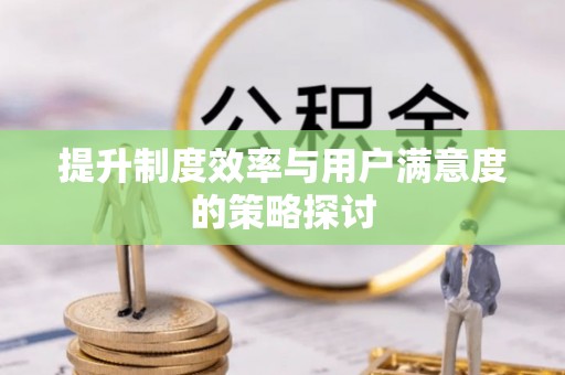 保山提升制度效率与用户满意度的策略探讨